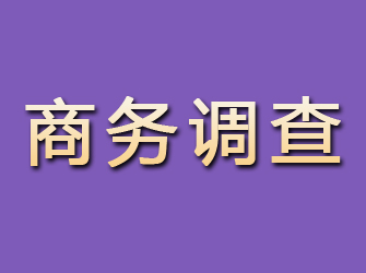 枝江商务调查