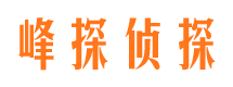 枝江市婚外情取证